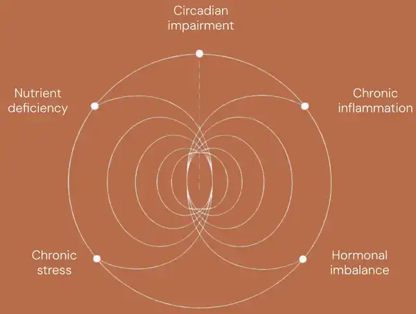Diagram of five hidden drivers: circadian impairment, chronic inflammation, hormonal imbalance, chronic stress and nutrient deficiency