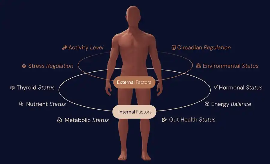 Body figure with ten systems: activity level, circadian regulation, stress regulation, environmental status, thyroid status, hormonal status, nutrient status, energy balance, metabolic status and gut health status